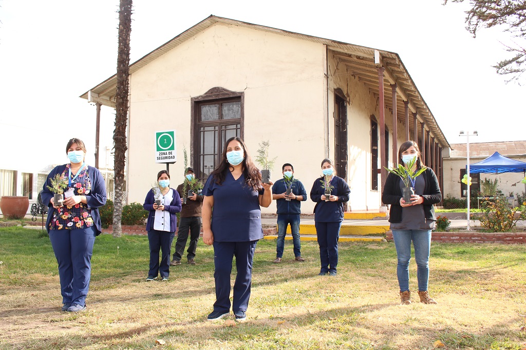 Hospital San Antonio de Putaendo celebró el Día del  Medio Ambiente fomentando la responsabilidad en el cuidado de árboles